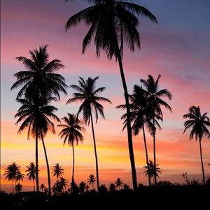 Meet your Posher, Ava